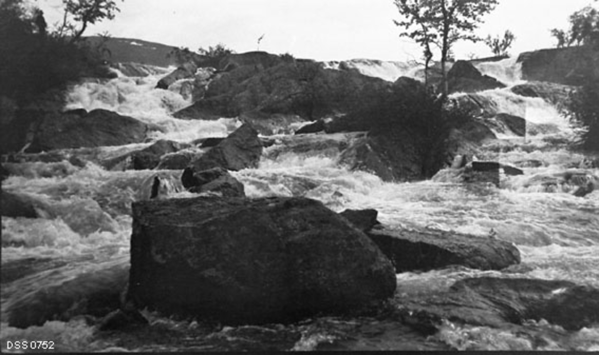 Kvitsteindalselva, fotografert fra i motstrøms retning på et sted der kvitskummende vatn passerer ei steinur.  Mellom steinblokkene klorer det seg fast enkelte bjørketrær. 