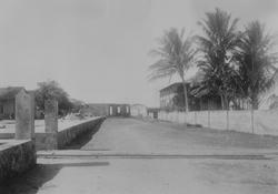 Mosambik. 1914. Hovedkontoret i Quelimane sees bak palmene.