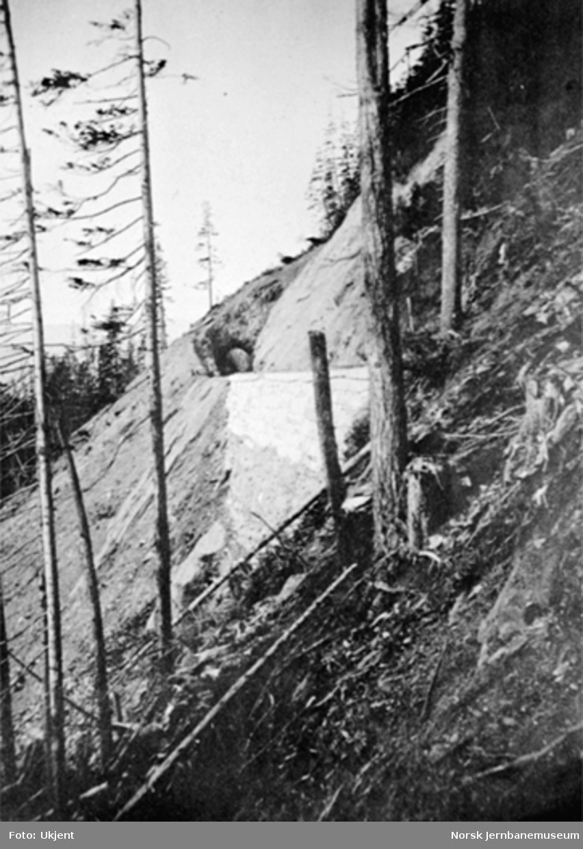 Parti fra linjen i Drøiliene - med en av tunnelene - to mann står på sporet