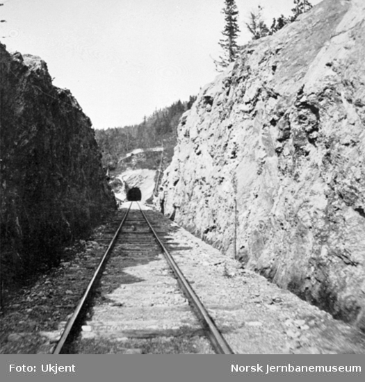 Parti fra linjen i Drøiliene - med en av tunnelene