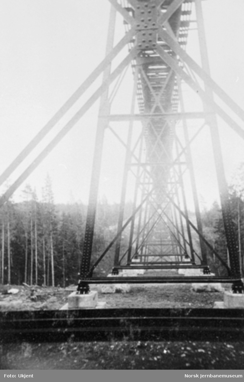 Lysedal viadukt, pillarene fotografert nedenfra
