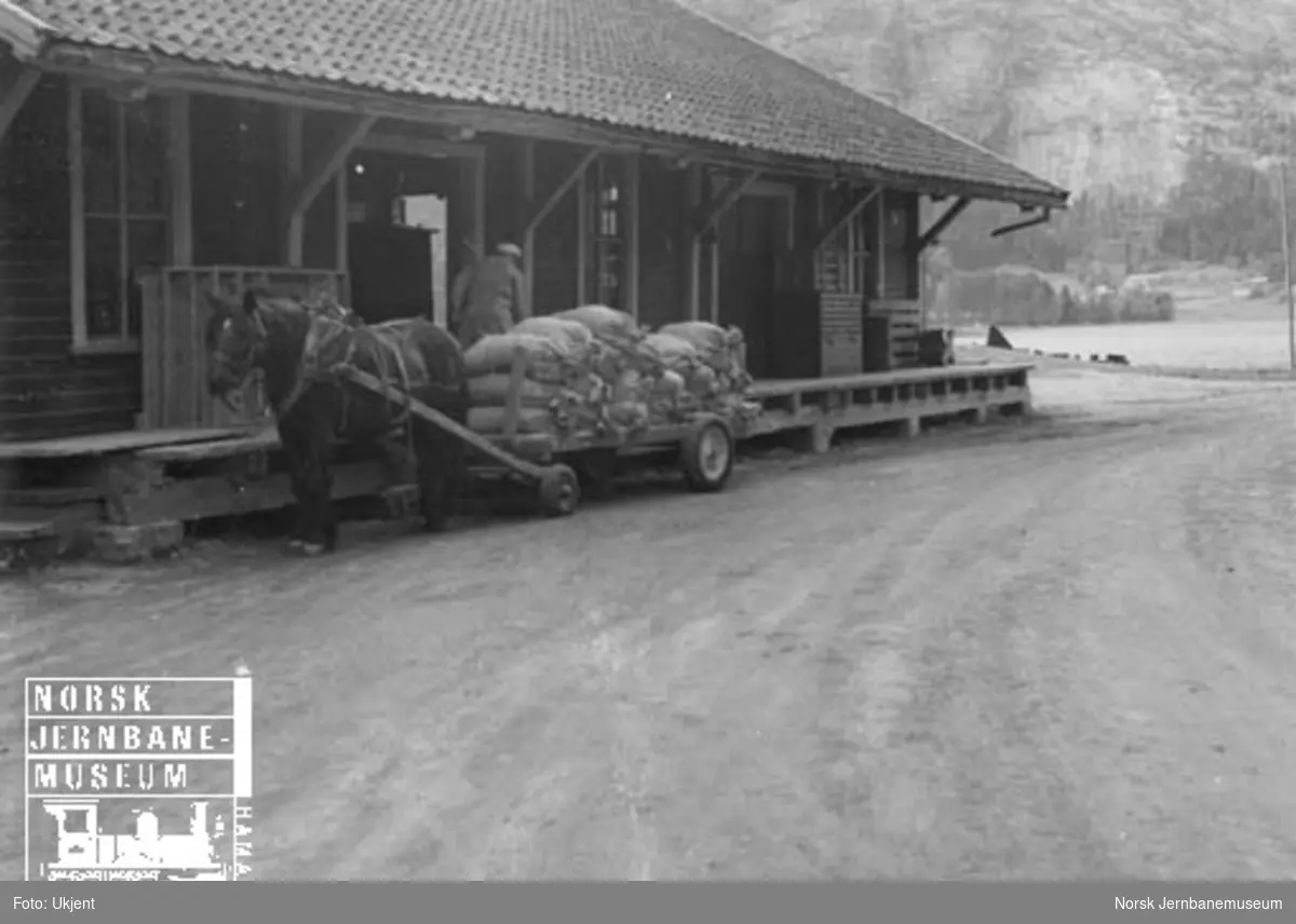 Hest med vogn ved godshuset på Byglandsfjord stasjon