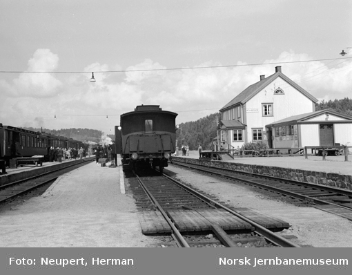 Persontog og reisende på Neslandsvatn stasjon