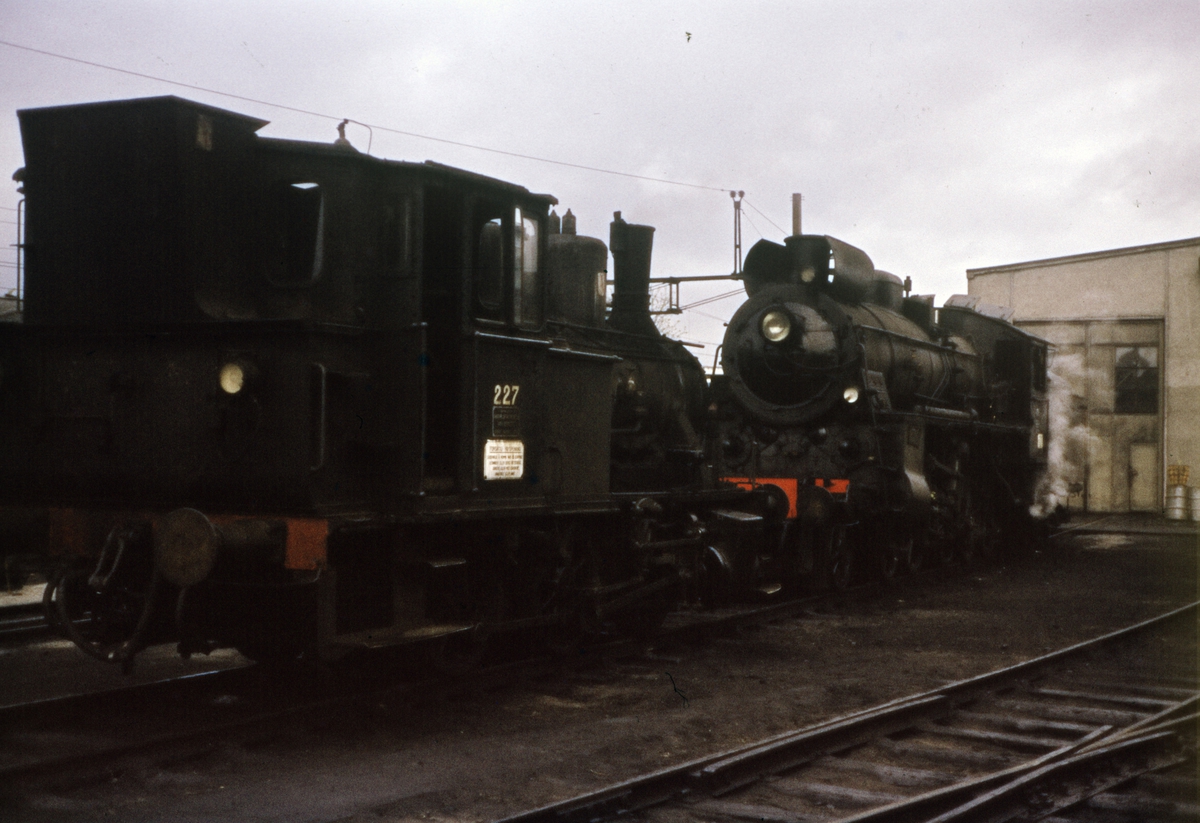 Driftsklare damplokomotiver foran lokomotivstallen på Hamar.