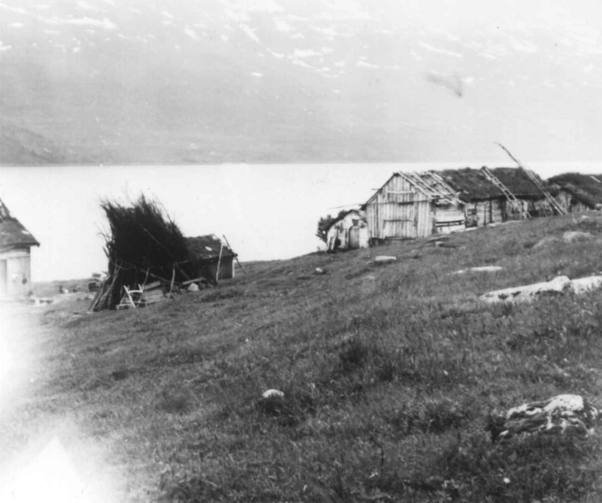 Selmer og Peder Olsens gård i Stordalen, 1948.