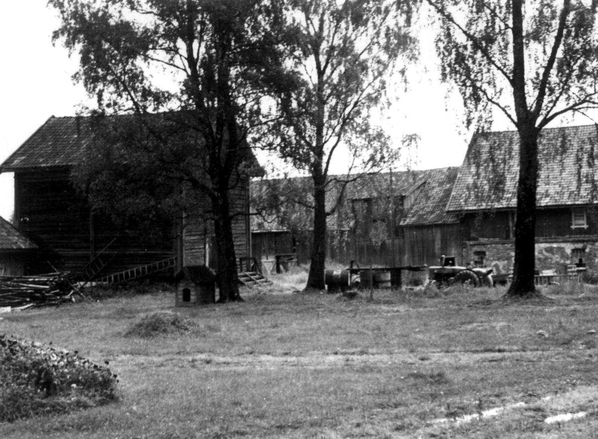 Berg, Nes, Akershus. Uthus rundt tunet, traktor. Storgårdsundersøkelser ved Engelstad 1953.
