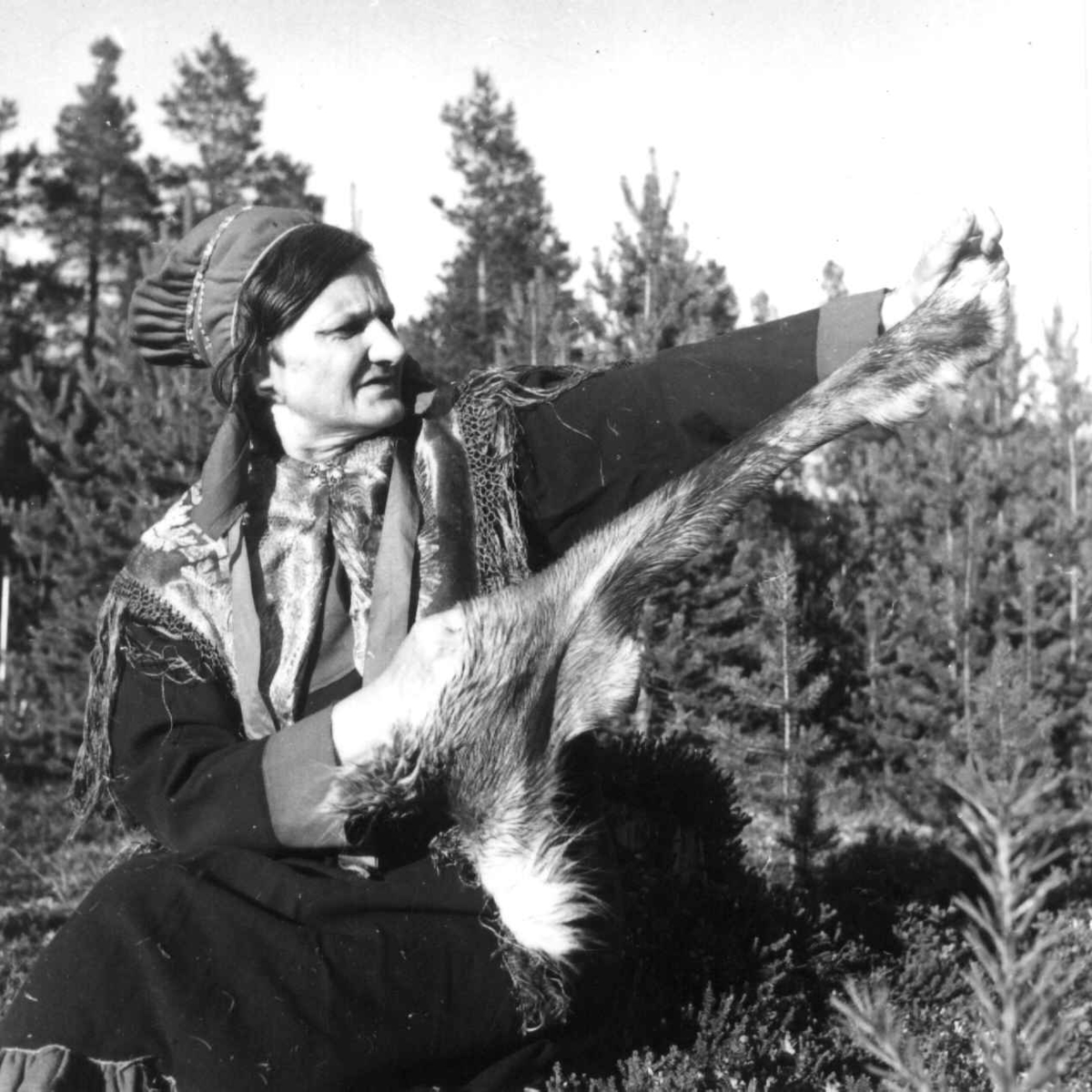 Kirsten Bueng Hætta strekker og bløtgjør skinnet til skaller. Karasjok 1961.