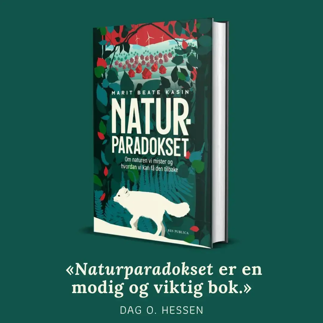 Marit Beate Kasin