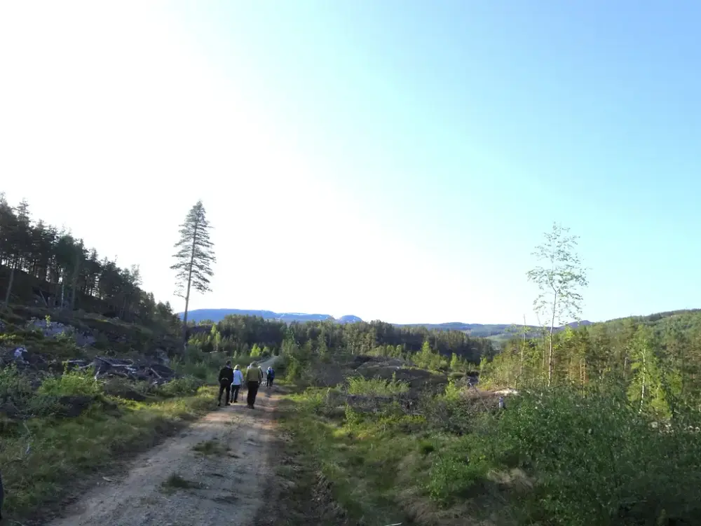 På gamlevegen langs Tovstjenn mot Stabrekka