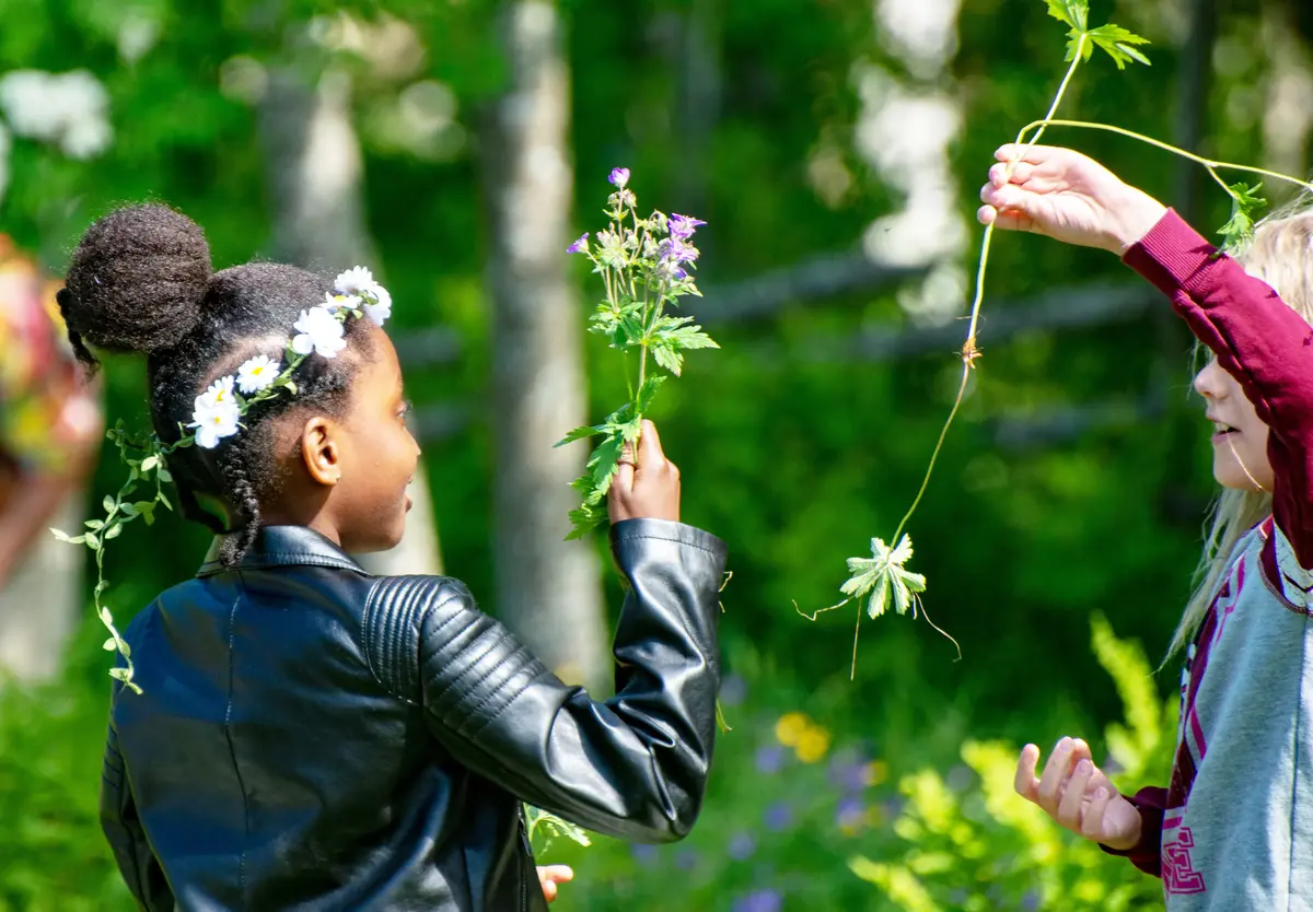 Barn plockar blommor till midsommarstången i grönskande natur