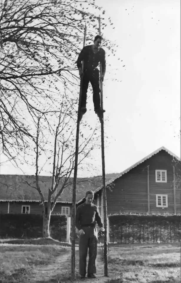 Mann på stylter. Halvor P. Scharning på bakken. ca.1935-40.