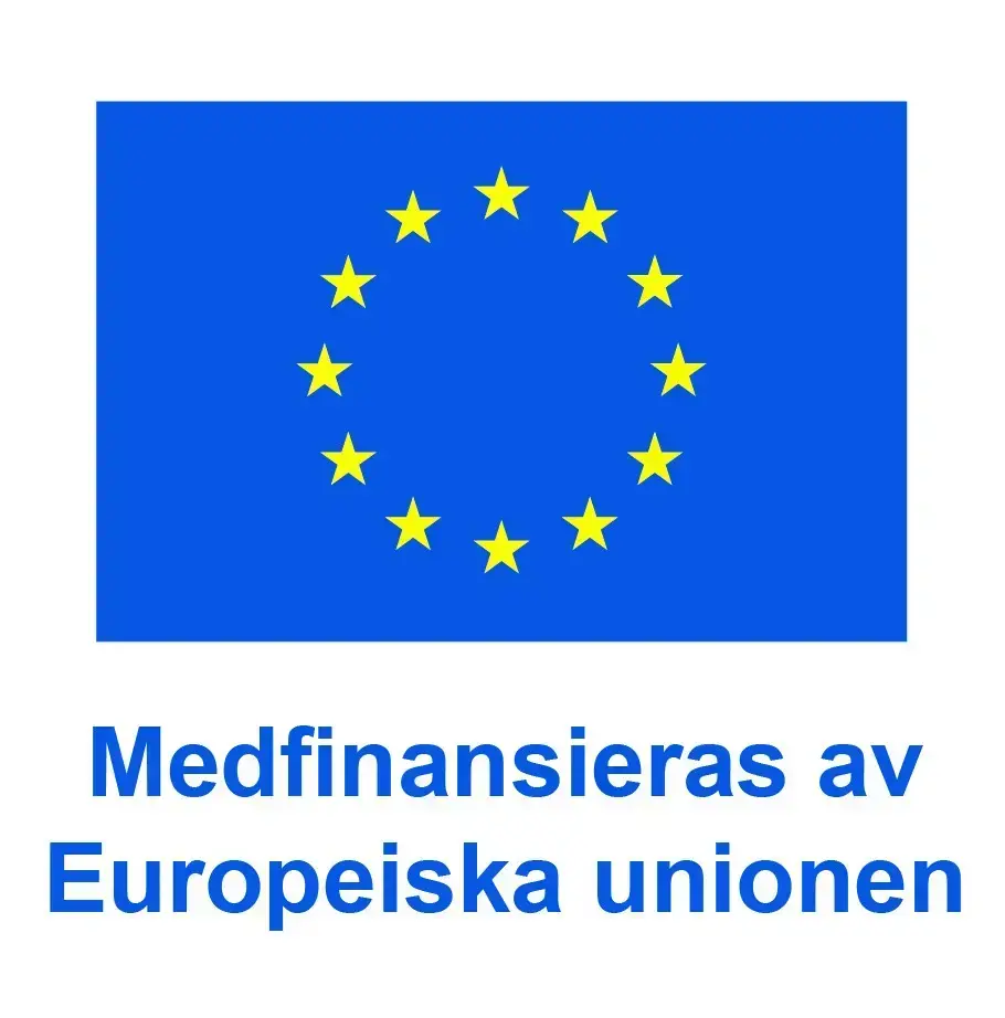Blå EU-flagga med gula stjärnor i cirkel